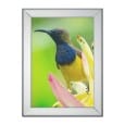 PICTURE FRAME CON CORTE 45 GRADOS 210 X 297 MM. | 346A-A4-45